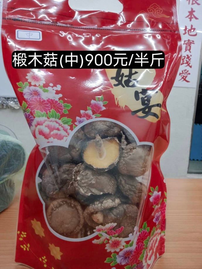 270580832 940484753262945 168780213291152395 n