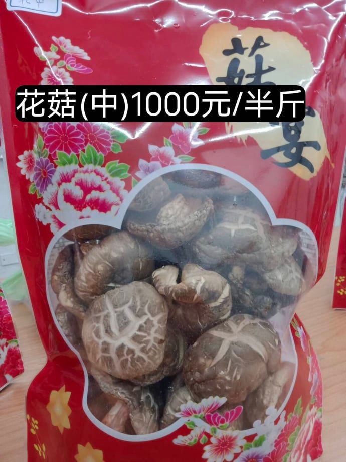 270720012 697918931227466 5741203506021125747 n