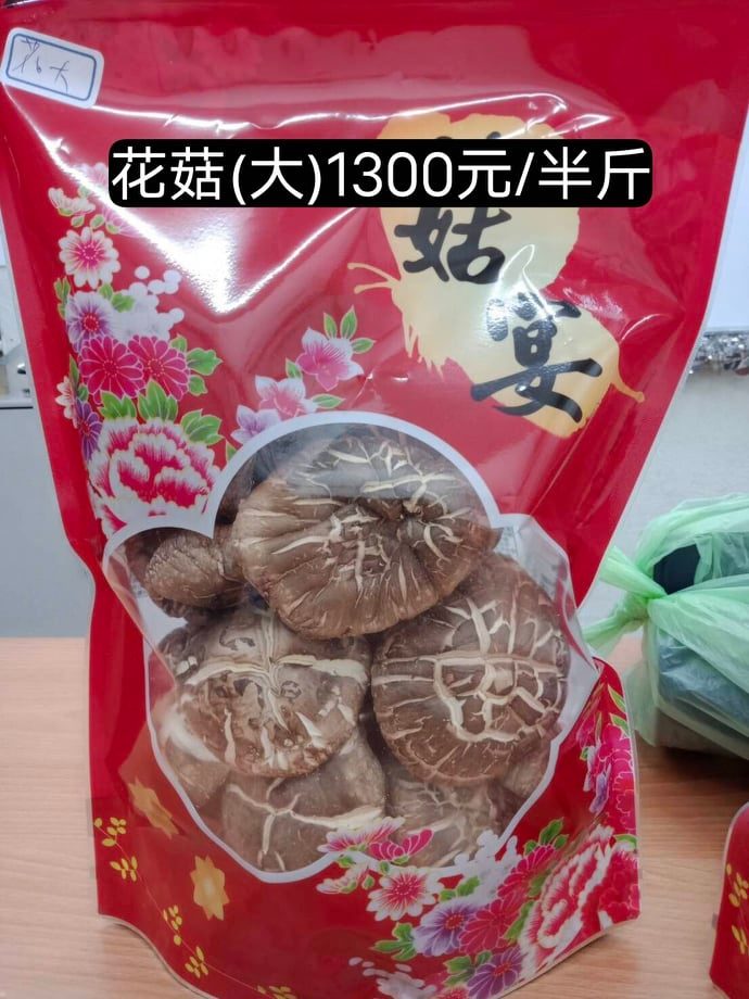 270819748 459162129276018 5249195391522618805 n