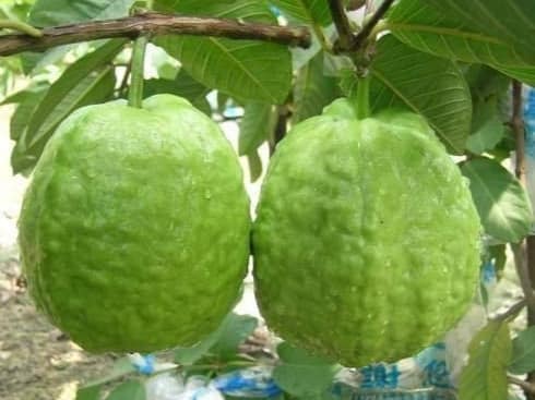 71510985 398279640879230 6963835114463690752 n