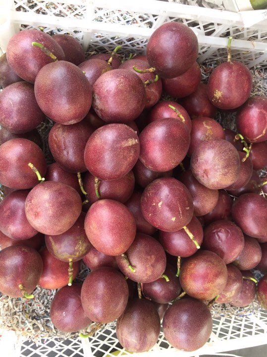 71541626 1201171363401129 5578371878449315840 n